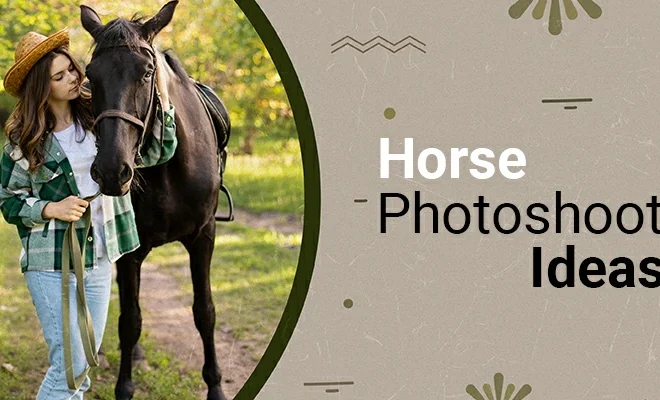 Creative Concepts for Equine Photography