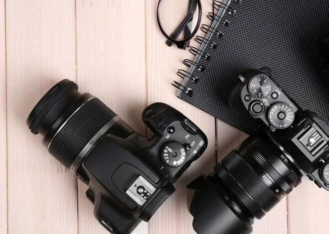 Photography logo: from cameras to elements of nature